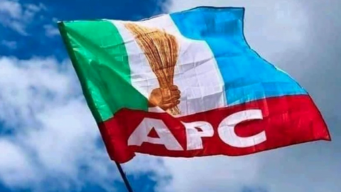 Ado-Odo/Ota APC HoR Primary Election: What happened and how it happened