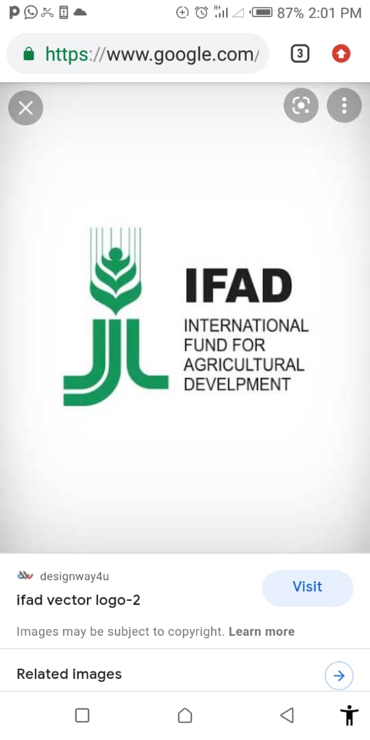 IFAD-VCDP trains financial institutions to enhance rural farmers’ access to credit facility in Kogi